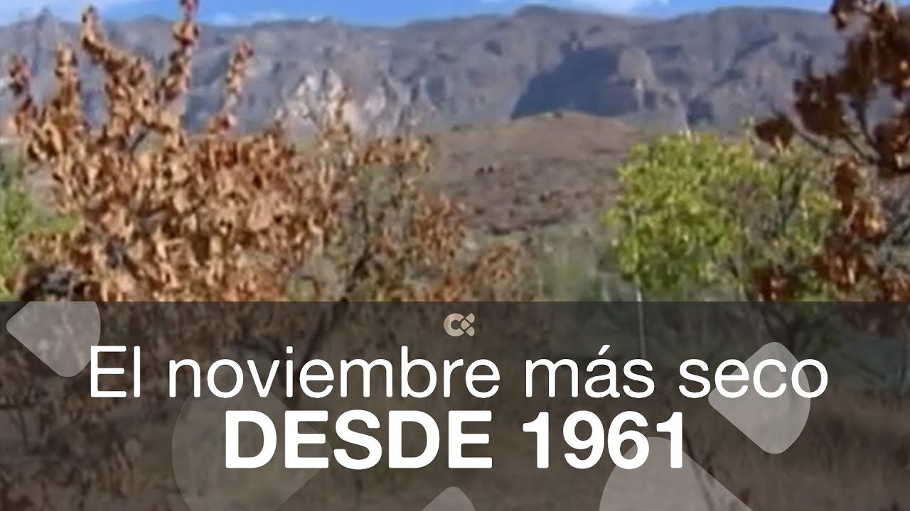 temperatura media gran canaria noviembre