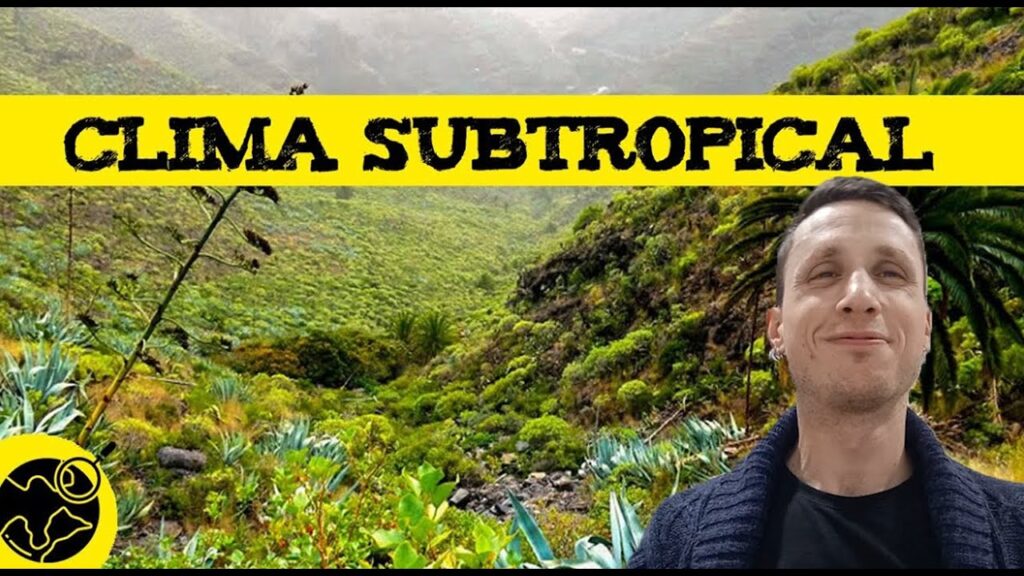¿Es cierto que Canarias tiene su propio clima subtropical?