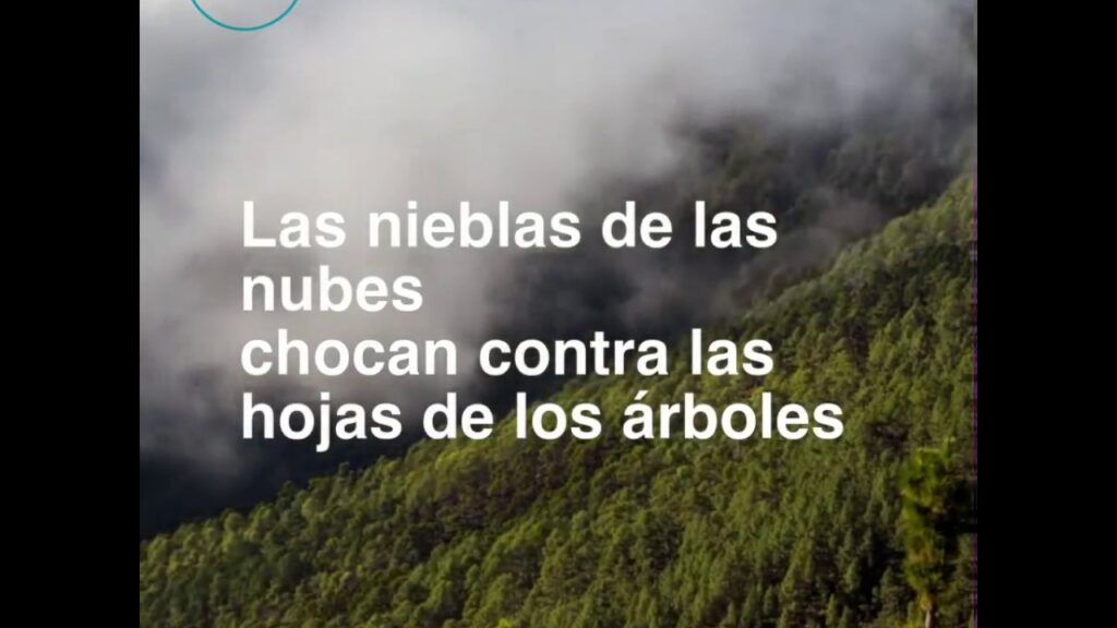 El curioso fenómeno de la lluvia horizontal en Canarias