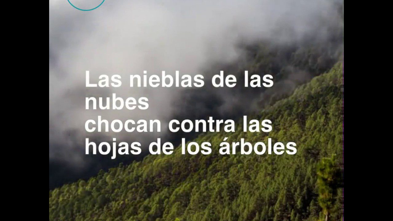 El curioso fenómeno de la lluvia horizontal en Canarias