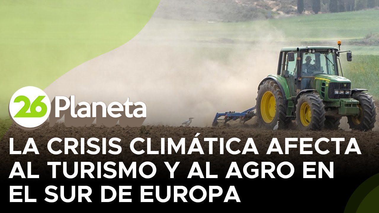 El futuro del sector agrícola en Canarias ante la crisis climática