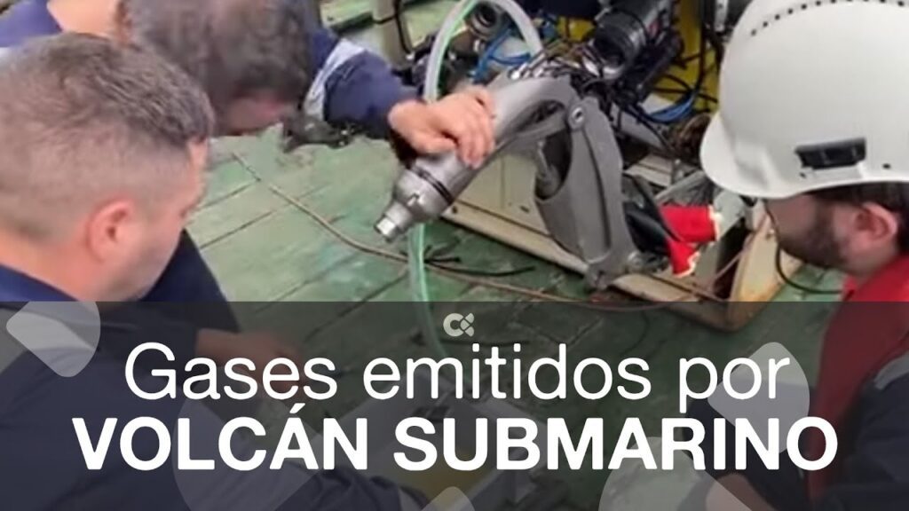 El volcán submarino de El Hierro y su impacto en la fauna marina