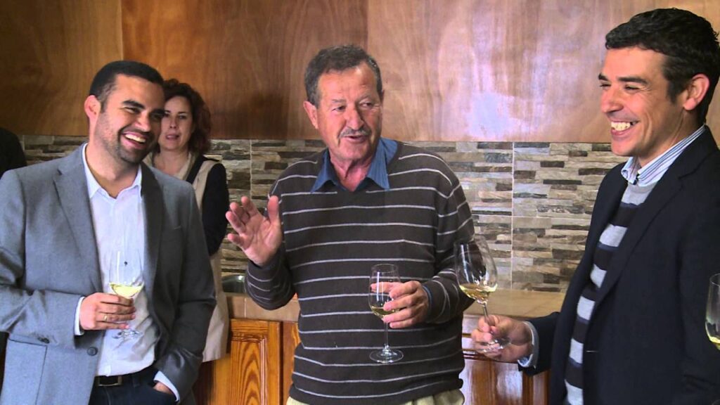 Las bodegas más antiguas de Canarias y sus mejores vinos
