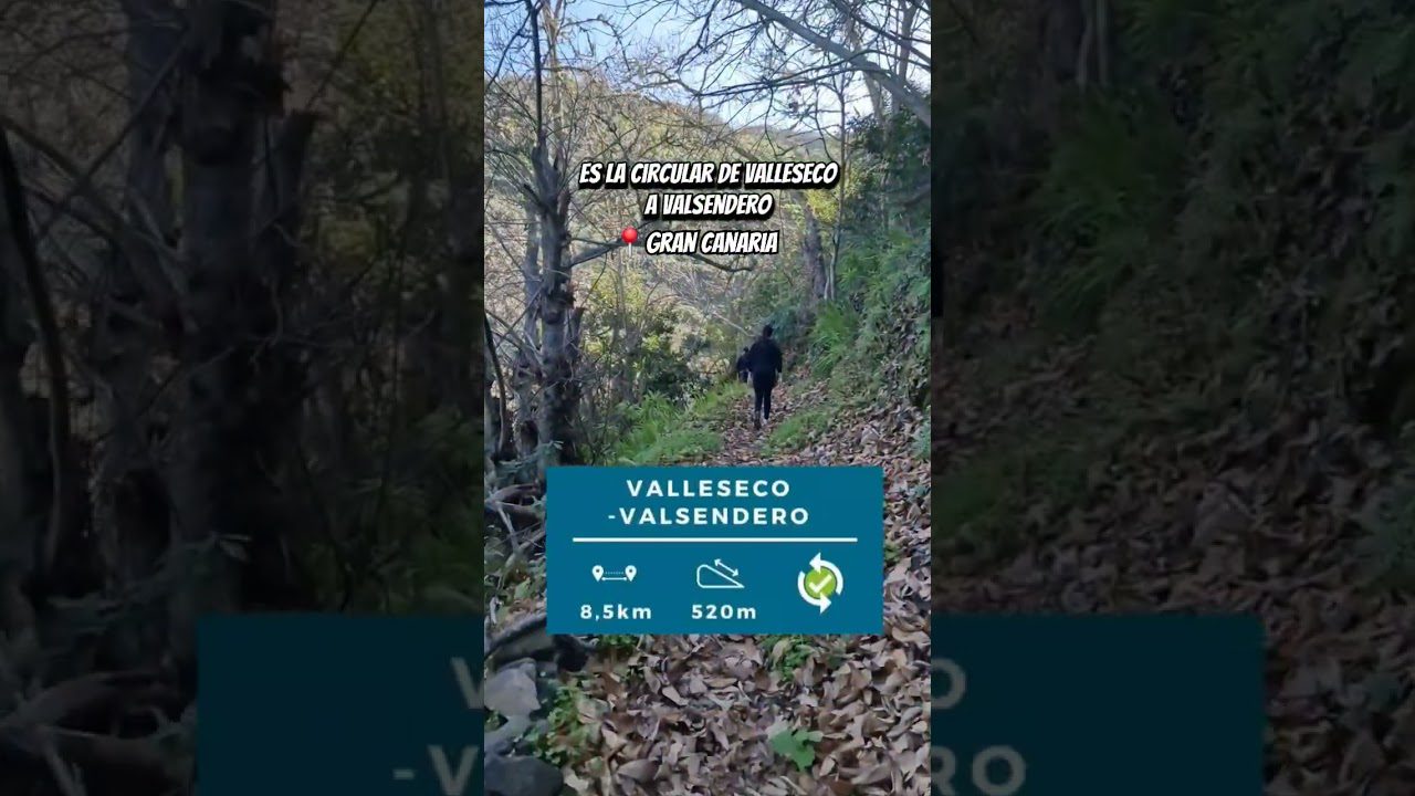 Las rutas nocturnas más mágicas de Canarias