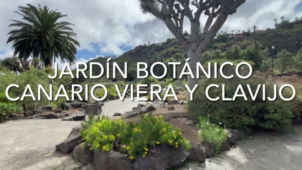 Los jardines botánicos más impresionantes de Canarias
