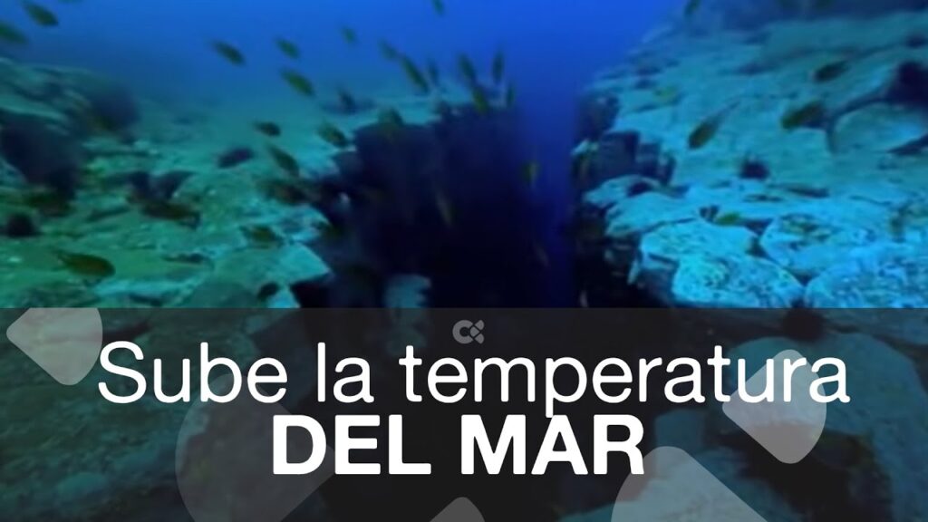 temperatura agua gran canaria diciembre