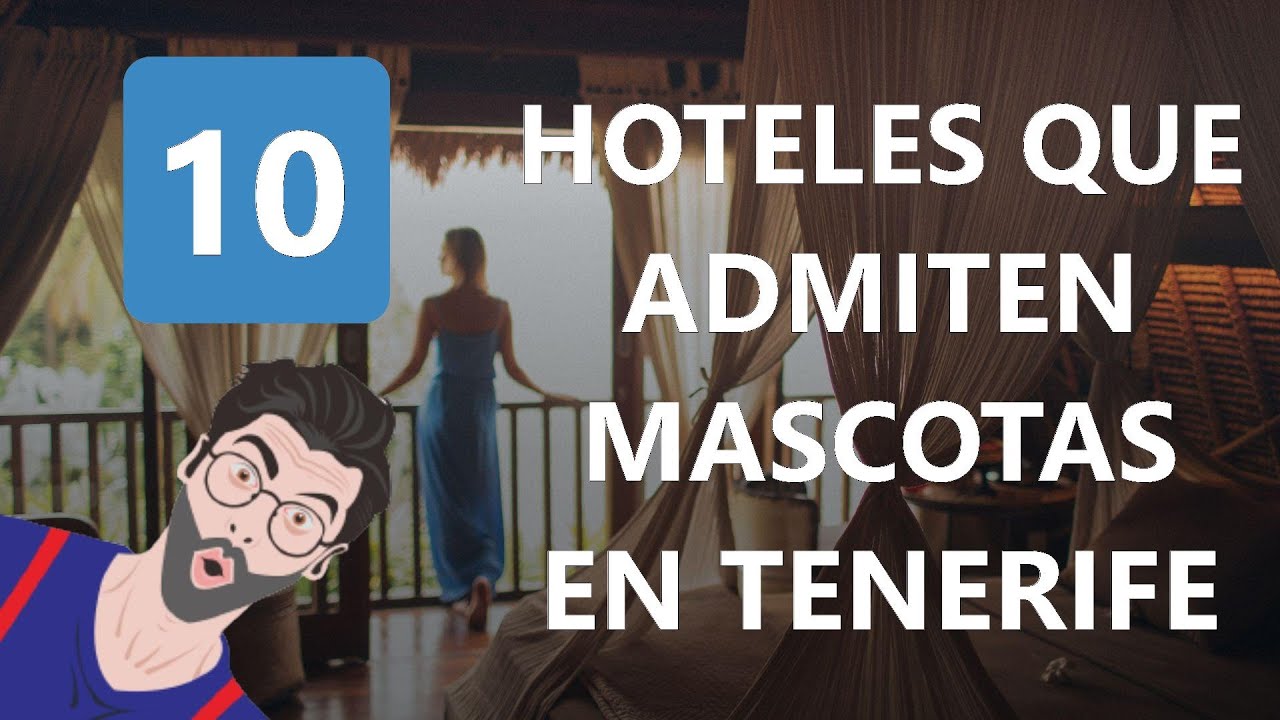 hoteles en gran canaria que admiten perros