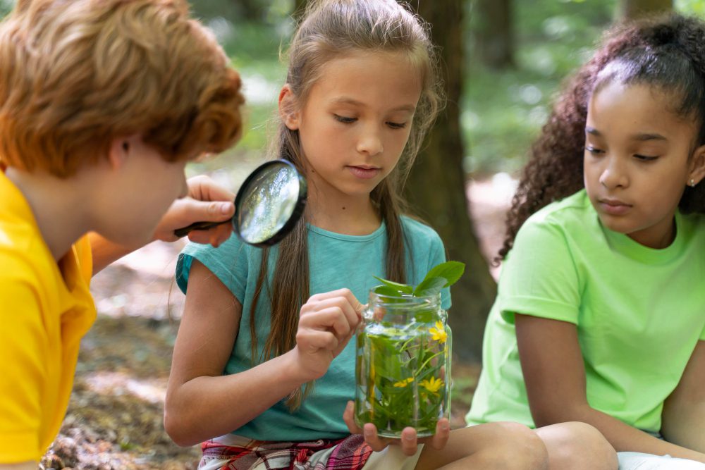 716837 - Bosqueko Forest School - Canarias Noticias 24h