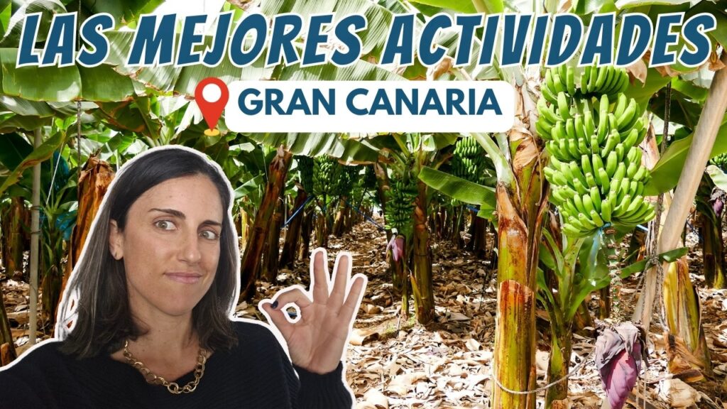 gran canaria excursiones