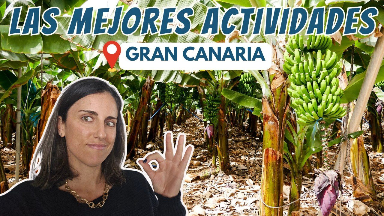 gran-canaria-excursiones - Canarias Noticias 24h gran canaria excursiones