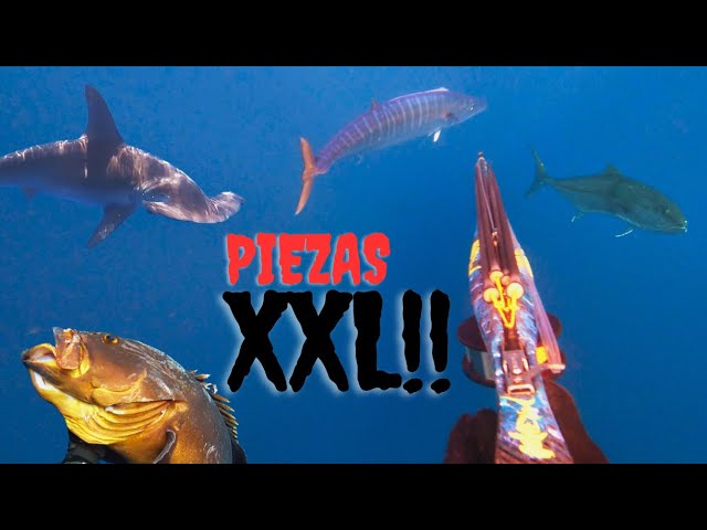 islas canarias submarinas