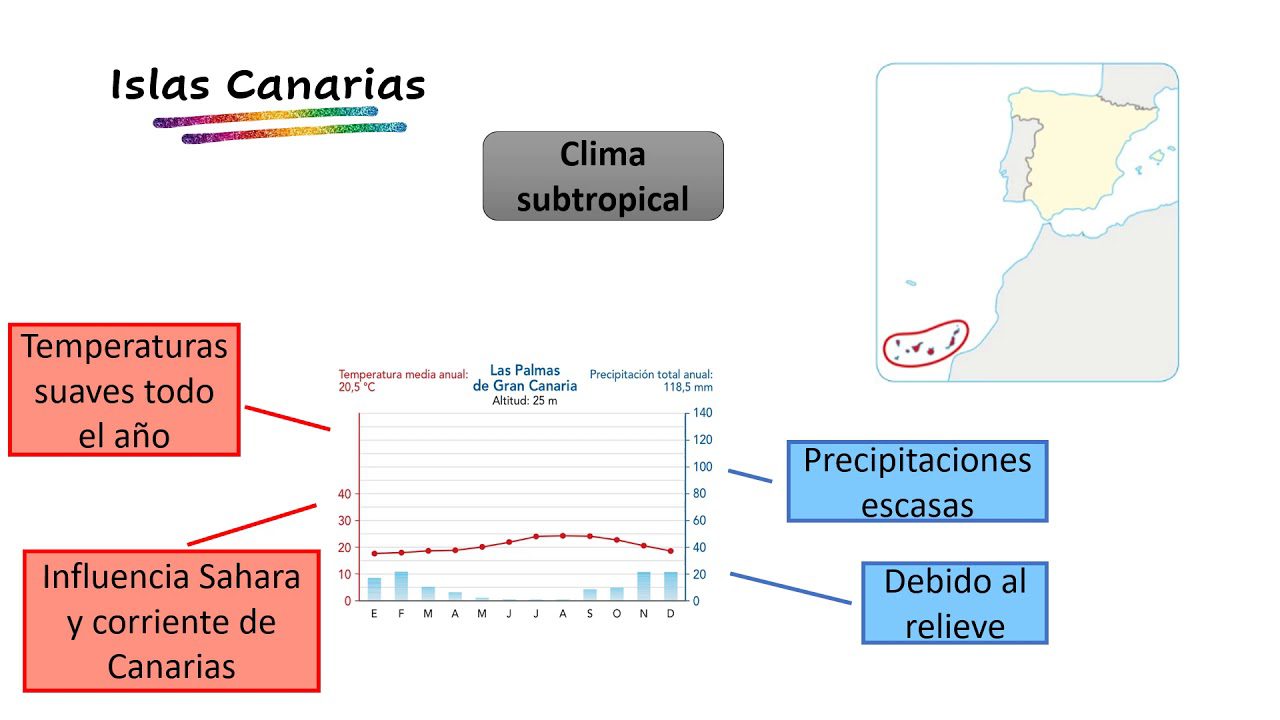 porque las islas canarias tienen un clima subtropical