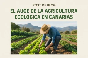 El-auge-de-la-agricultura-ecologica-en-Canarias - Canarias Noticias 24h El auge de la agricultura ecológica en Canarias