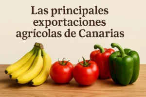 Las-principales-exportaciones-agricolas-de-Canarias - Canarias Noticias 24h Las principales exportaciones agrícolas de Canarias