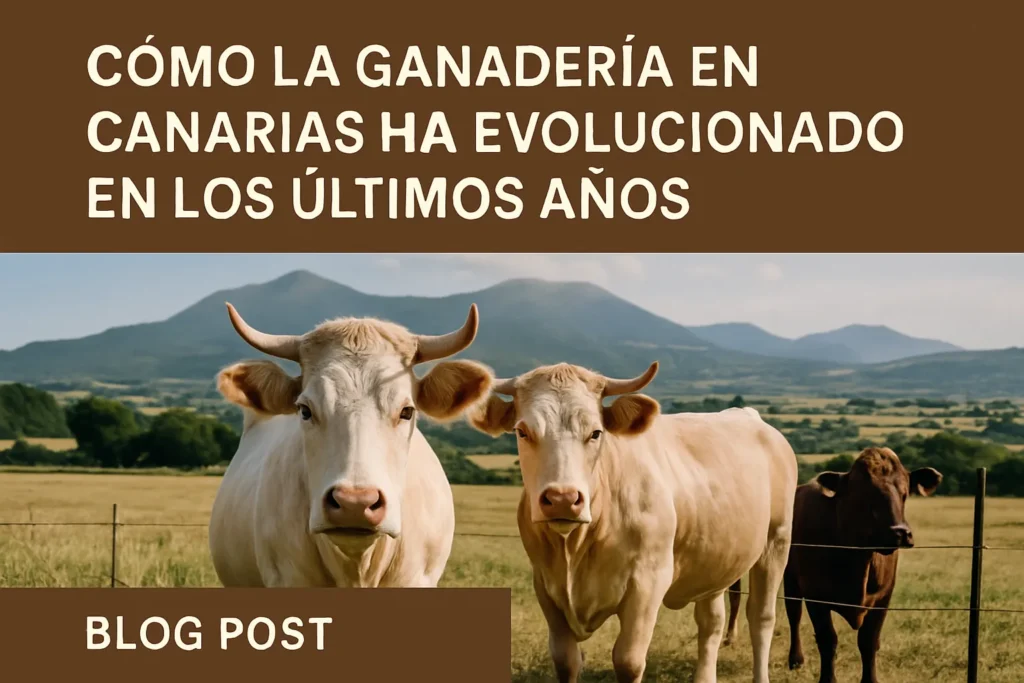 Cómo la ganadería en Canarias ha evolucionado en los últimos años