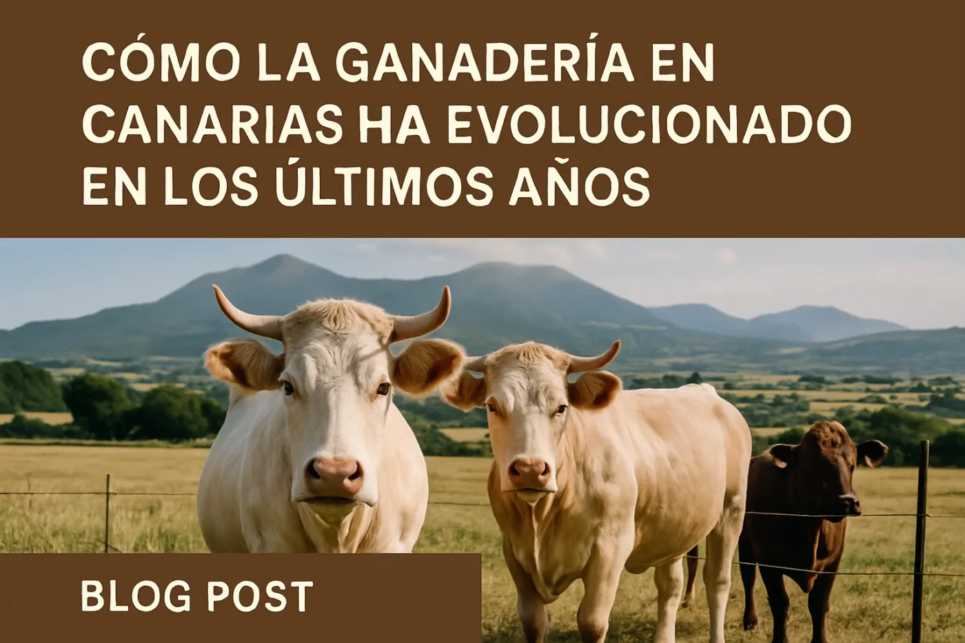 Como-la-ganaderia-en-Canarias-ha-evolucionado-en-los-ultimos-anos - Canarias Noticias 24h Cómo la ganadería en Canarias ha evolucionado en los últimos años